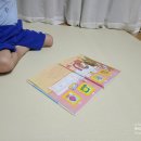 자연누리유치원 | 누리과정 교과연계 꼬마과학뒤집기 읽고 과학실험 해보기
