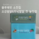 4개월 아기, 블루래빗 오감발달&두뇌발달 내돈내산 구매 후기