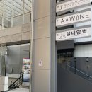 서울 실내 클라이밍-압구정 타잔101에서 운동하기