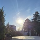 우리돈삼이 이미지