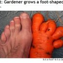 당근펜션 이미지