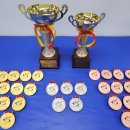 고려 대호 태권도 이미지