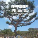 부여 고란사 석조입상 | 제69기 창원박물대학 부여 논산 답사