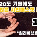 공리농장 이미지