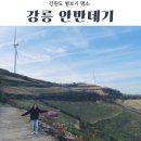 평창3리 | 안반데기 뜻은 무엇일까? 강릉 별보기 명소 인기 비밀