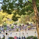 제3회 보은 예술제 | 2025 경남 진주 남강유등축제 개천예술제 일정 정보 셔틀버스ㅣ2024 현지인후기 사진 공개