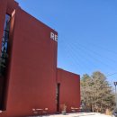 덕명로 | 스콘맛집 대전 카페 <레포레스트> 후기 💛(얼그레이 스콘 왕추천🥖)