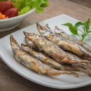 365식품연구소 이미지