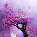 고향의 봄 이미지