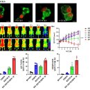 K파마세상 이미지