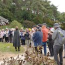 도산시장 이미지