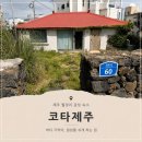 월정비앤비 | 제주 월정리 숙소 추천: 감성가득한 '코타제주' 내돈내산 솔직 후기