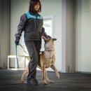 루카스독트레이닝 이미지