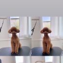 다녀오개 이미지