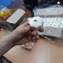 탁구(야간) 이미지