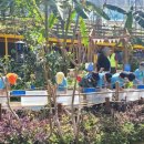 창녕우포곤충나라 이미지