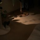 금단지 | 아티반정 처방 후 금단증상 부작용 겪고 단약한 후기 (복용법)