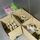 기독노동조합 이미지