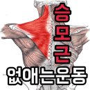 뭉친 "승모근"없애는 방법~ 이미지