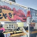 구마모토 하나바타광장 푸드트럭 솔직후기 🍢 타코야끼·와규꼬치·하이볼까지 직접 먹어본 리뷰!