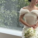 피노코로 이미지