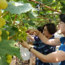 평택시 농업생태원2 이미지