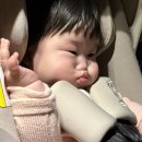 조동마을 조동교 앞 | 6개월 아기 키우는 일상 기록 : 심장초음파, 낯가림 최강, 이유식 시작, 앞니 등장