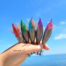 비다쭈꾸미 이미지