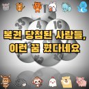 실제 로또 당첨자 꿈 사례 모음｜복권 구매 전 꼭 알아야 할 길몽 BEST 5