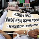 이천시청 앞 이미지