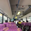 나무아래분식 | 휴가 맞이 제주도 뚜벅이 여행 일기! 미도호스텔 올레시장 짱구분식 후기 😎