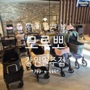 아발론2 | 강원 강아지 유모차 모루뽀 다녀온 후기(+아발론 캐리언플러스2 후기!)