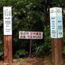 안내목 이미지