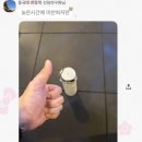 은찌