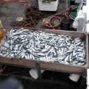 청어람로 이미지