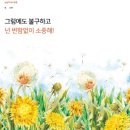 민들레는 민들레