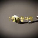 행복2공인중개사사무소 이미지