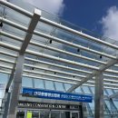 (주)더셈펫바이오 이미지