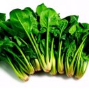 PT STUDIO THE 진심 이미지