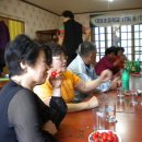 대양초교 이미지