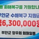 백룡의원 | 폭우 피해 지원 후기