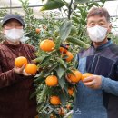 군서농장 네이버블로그