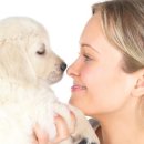 닥터훈트 이미지