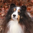 이지스힐 이미지