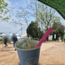 본죽(고창점) | [전북 고창] 청보리밭 축제 | 셔틀버스 정보