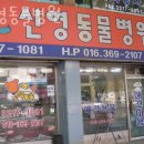 신영동물병원 이미지