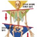 교정요가 이미지