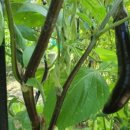 웰빙공인중개사사무소 이미지