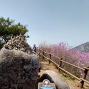 형형색색의바위들 이미지