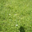 백두산화원 이미지